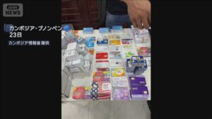 🚨柬埔寨惊曝：4名日本人被抓，疑卷入诈骗！ 封面
