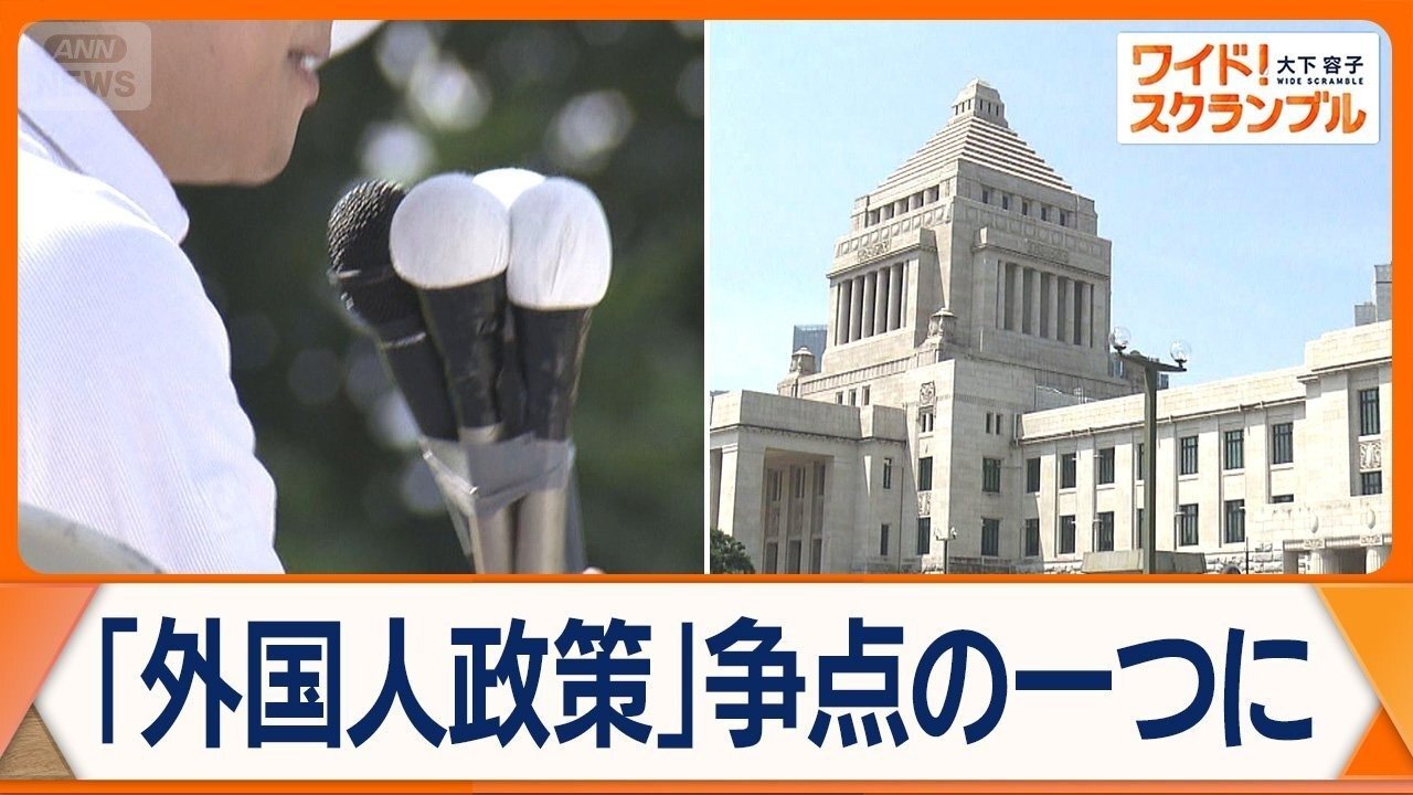 🚨外来者政策大混战!谁来守护咱?