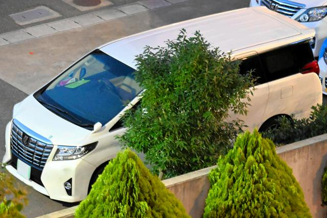 🚨机场“黑车”陷阱！赴日游客注意！